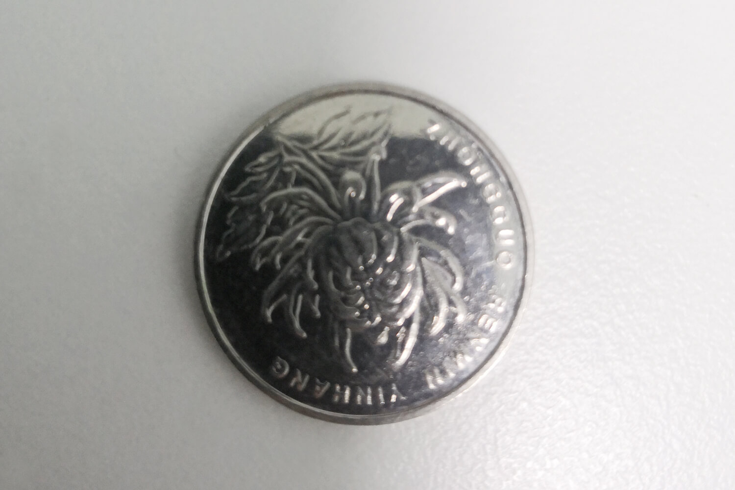 Coin Surface Scratch, Pattern, and Character Inspection sample imaging result