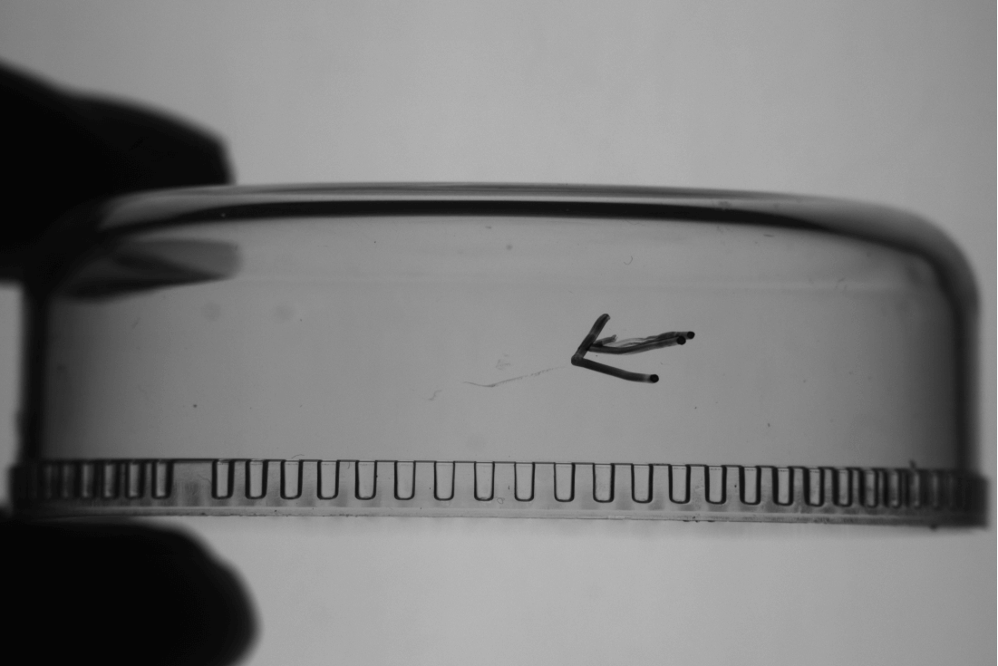 Glass Bottle Inspection with Machine Vision Lighting sample imaging result