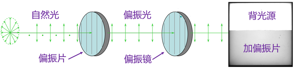 Polarized Light Accessories for Glare Control in Machine Vision lighting reference