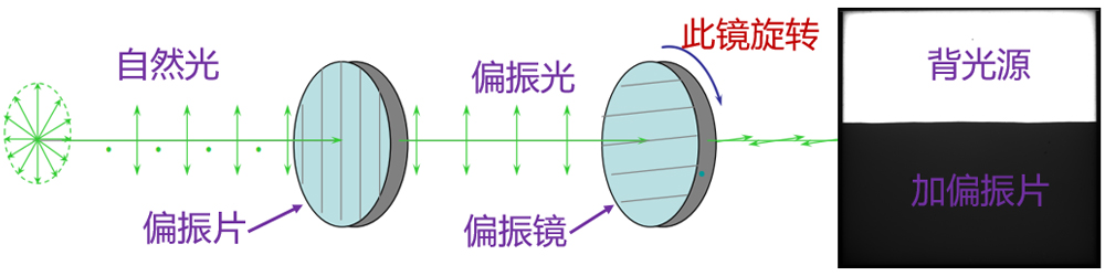 Polarized Light Accessories for Glare Control in Machine Vision optical setup detail