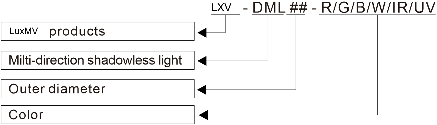 LXV-DML application case 3